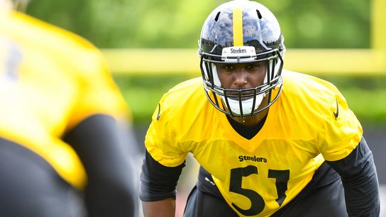 State of the AFC North: Steelers are class of the division on defense taken on the South Side (Steelers)